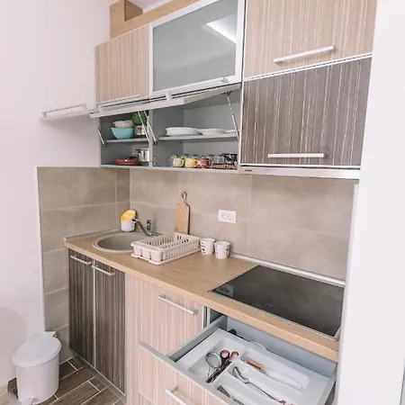 Vs Apartment Banja Koviljaca